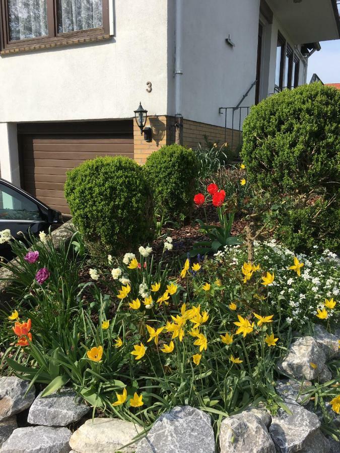 Ferienwohnung Dettum Exteriér fotografie
